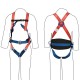 Fall Arrest & Restraint Harness, 4-Point