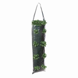 Hanging Growing Tube 2pk, 700 x 220mm