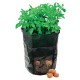 Potato Planting Bag, 360 x 510mm