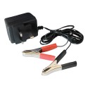 12V Trickle Charger, 500mA