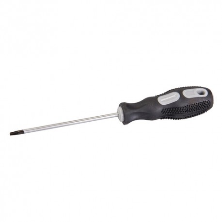 General Purpose Screwdriver Trx, T15 x 100mm