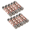 Fuses 10pk, 13A