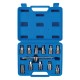 Universal Drain Plug Key Set 12pce, "3/8"" / 8-17mm"